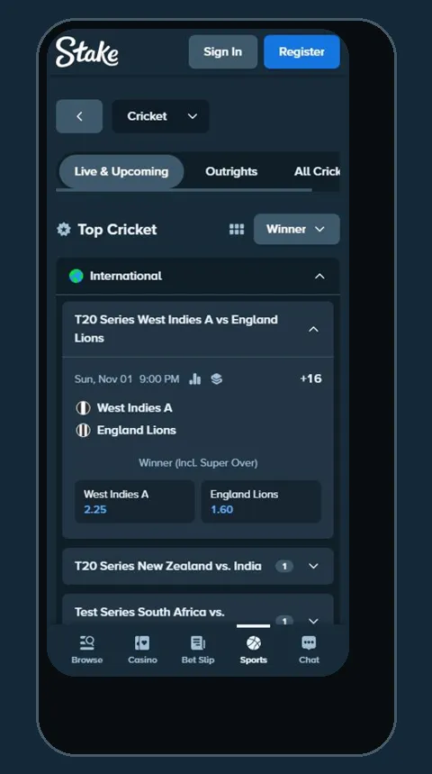 Cricket list of the Stake sportsbook in a phone browser
